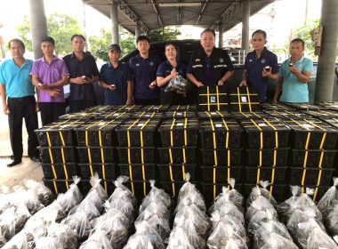 กระจายผลไม้ “มังคุด” พารามิเตอร์รูปภาพ 1